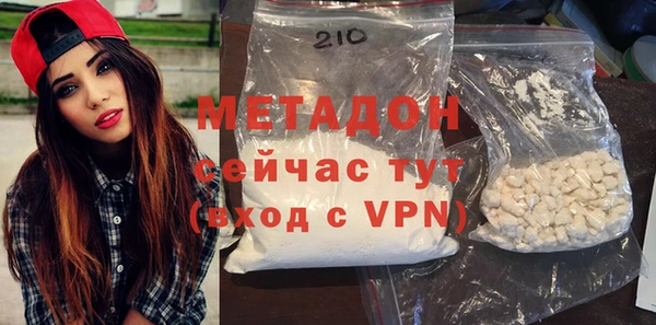 шишки Абаза