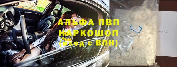 СК Алзамай