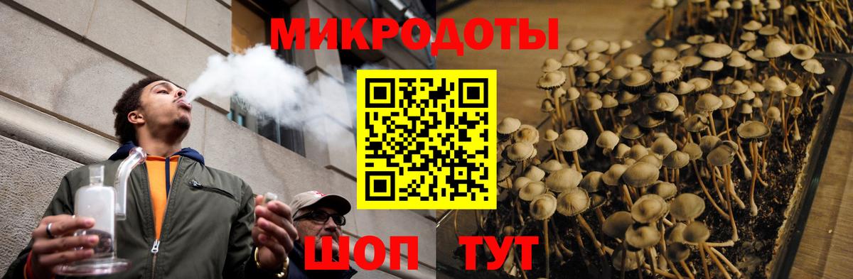 Череповец  Псилоцибиновые грибы Cubensis  Вход с VPN 